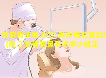 肋软骨法整 🦈 形价格究竟如何(肋 ☘ 软骨隆鼻手术多少钱正规医院)